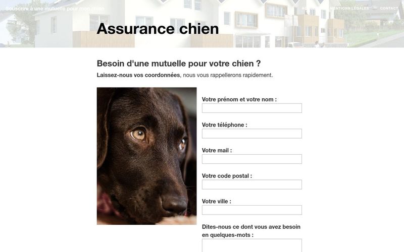 Peut-on se faire rembourser les frais de santé d'un chien ?