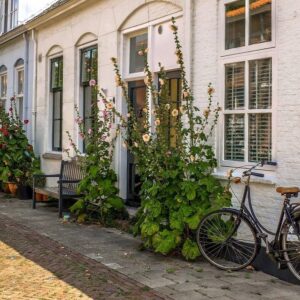 Assurance habitation&nbsp;: votre garantie de sécurité et de sérénité pour votre foyer