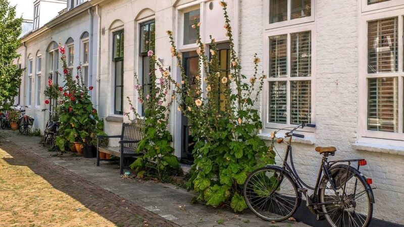 Assurance habitation&nbsp;: votre garantie de sécurité et de sérénité pour votre foyer
